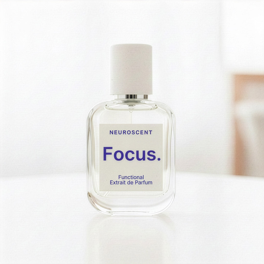 Focus