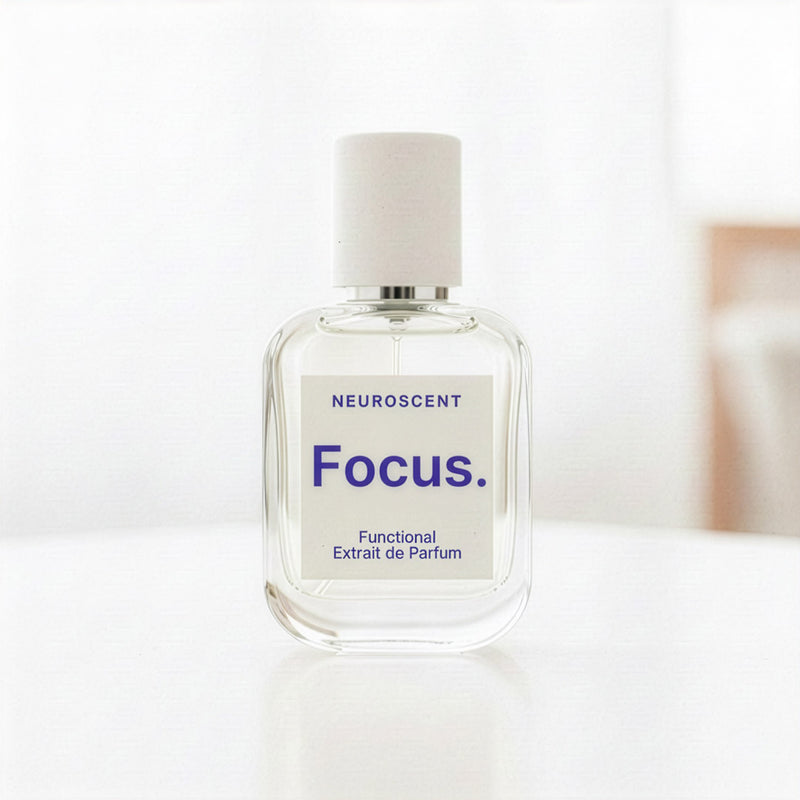 Focus